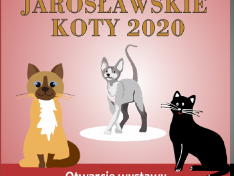 wystawa koty.png