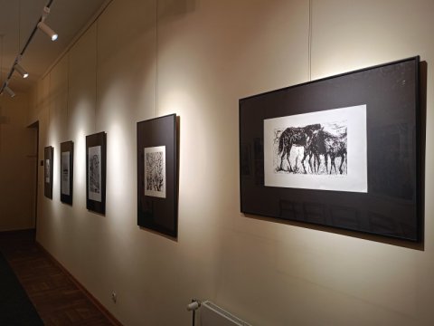 IMG20250317183304.jpg