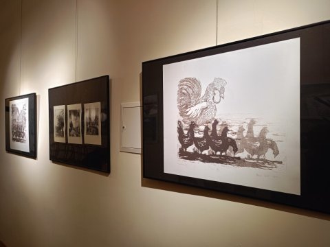 IMG20250317183239.jpg
