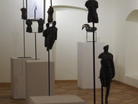 PA230316.JPG