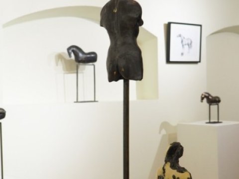 PA230294.JPG