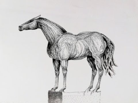 IMG_20200321_100339.jpg