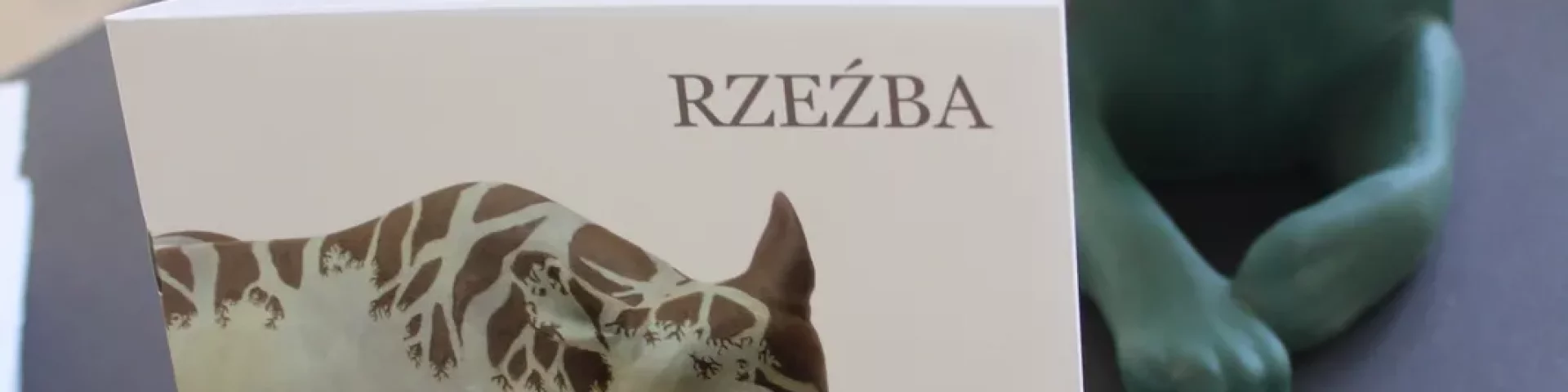Sabina Pelc -rzeźba Wernisaż Galeria zdjęć